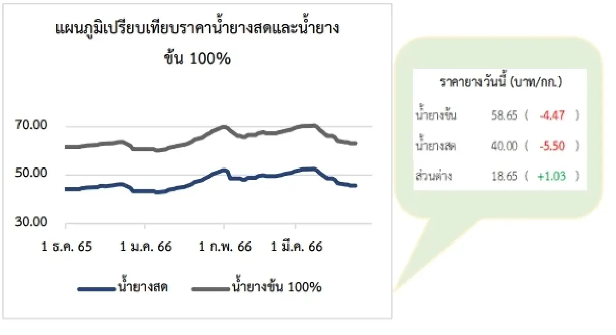 สถานการณ์ยางพารา วันที่ 24 มีนาคม 2566
