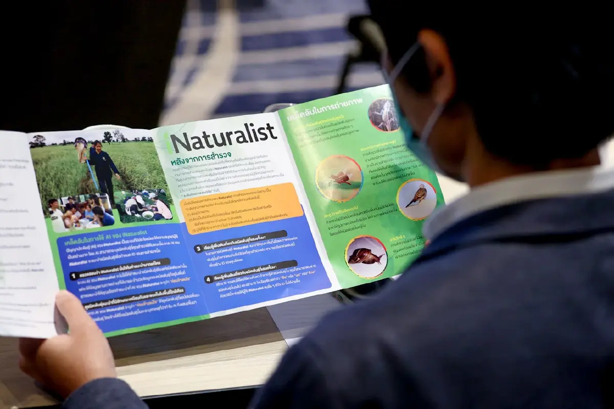 โครงการ Dow & Thailand Mangrove Alliance