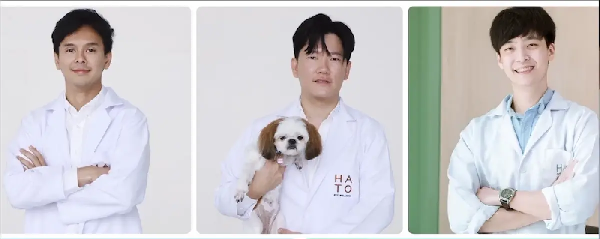 'อาร์เอส' ควักกว่า 100  ล. ซื้อหุ้น 51% 'ฮาโตะ เพ็ท' ลุยขยายโรงพยาบาลสัตว์  5 ดาว