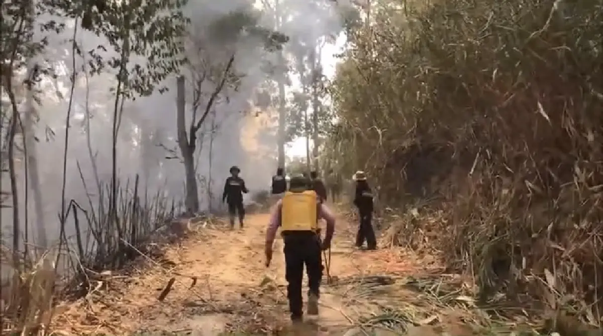 ยังคุมไม่ได้ 'ไฟป่า' เผาดอยอินทรีย์ จ.เชียงราย เสียหายแล้วกว่า 1,000 ไร่