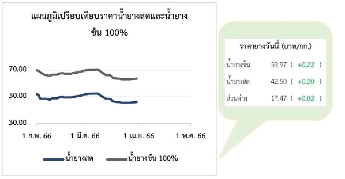 สถานการณ์ยางพารา วันที่ 25 เมษายน 2566