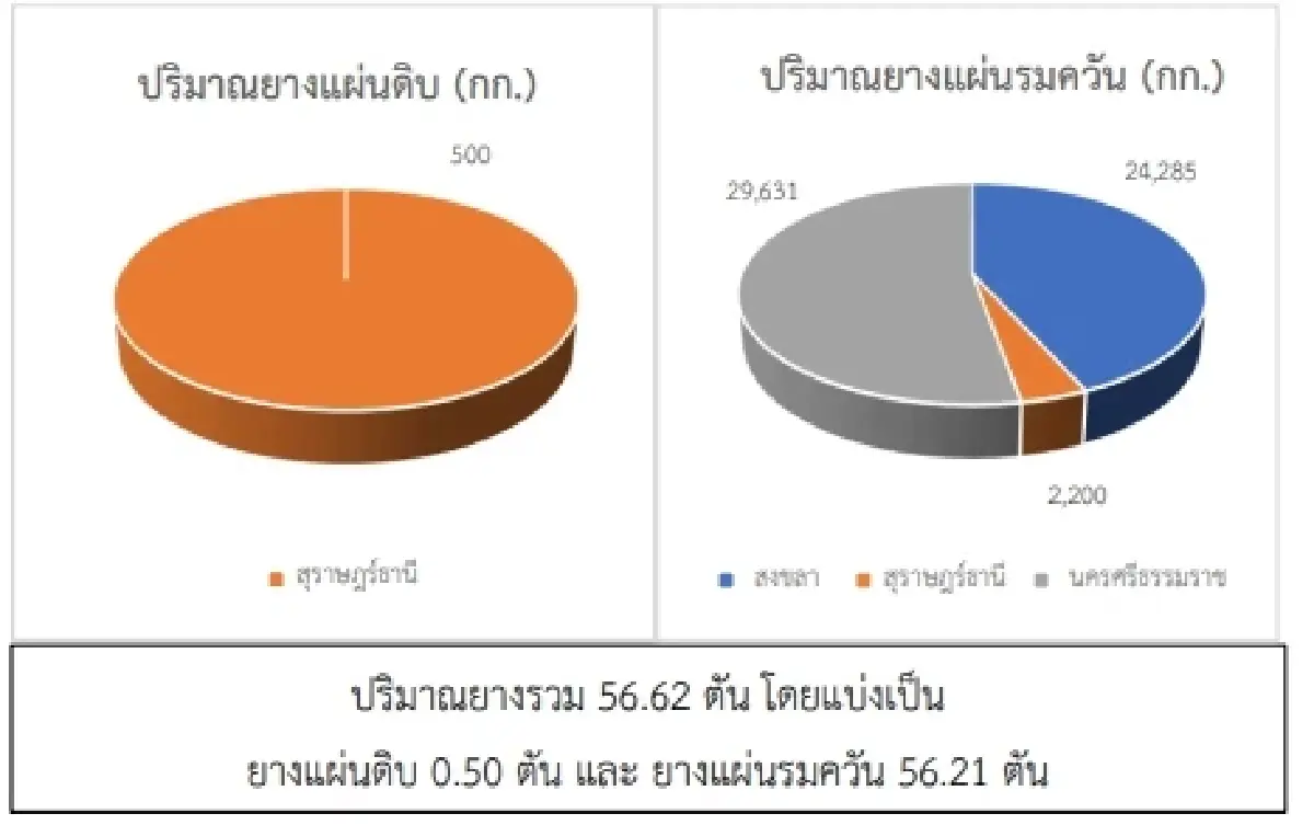 สถานการณ์ยางพารา วันที่ 11 เมษายน 2566