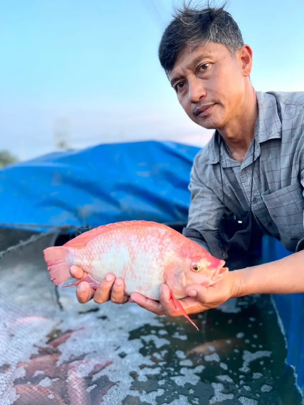 'สี่มุมเมือง'ปั้นฮับค้าส่งปลา-อาหารทะเล บูม'ตลาดดอกไม้'รับเทศกาลไฮซีซัน