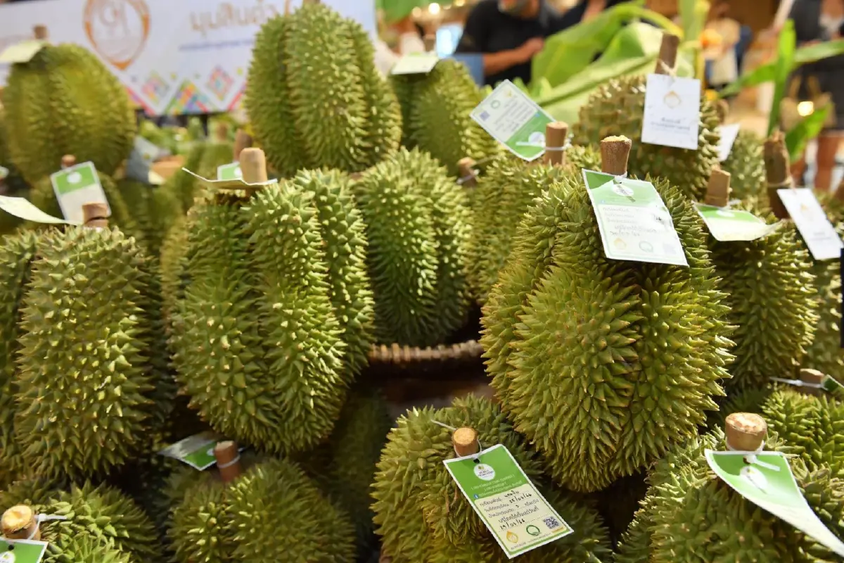 'ท็อปส์'ปรับโฉม ตลาดจริงใจ Farmers' Market สู่ศูนย์รวมสินค้า GI ผลไ้ม้มากสุด