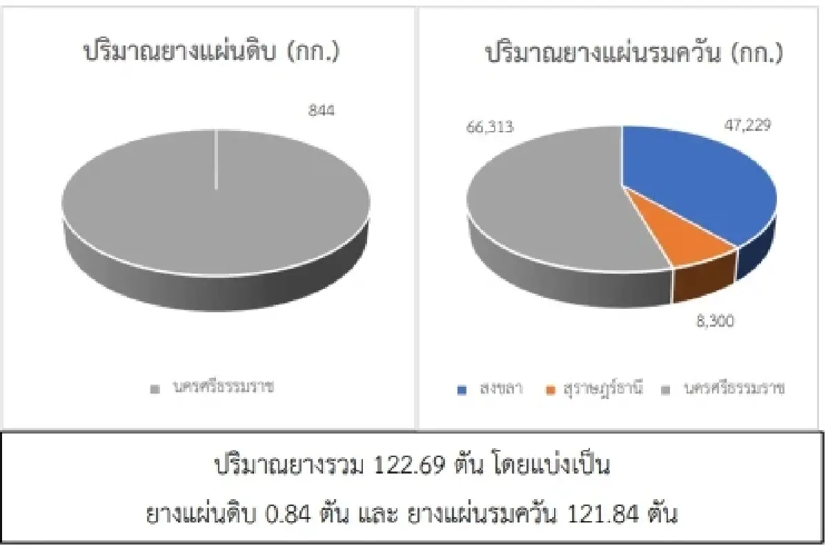 สถานการณ์ยางพารา วันที่ 19 เมษายน 2566