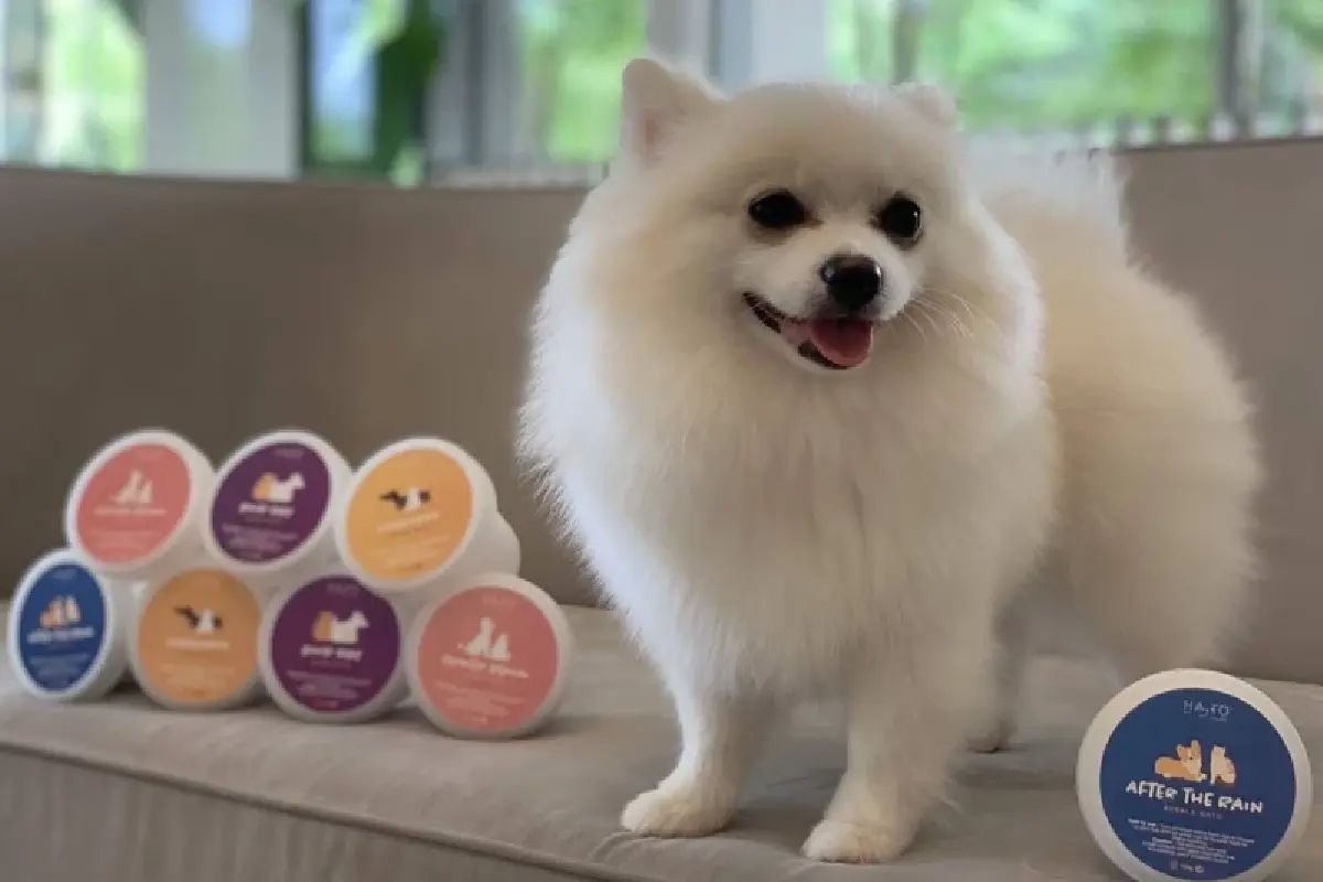 'อาร์เอส' ควักกว่า 100  ล. ซื้อหุ้น 51% 'ฮาโตะ เพ็ท' ลุยขยายโรงพยาบาลสัตว์  5 ดาว