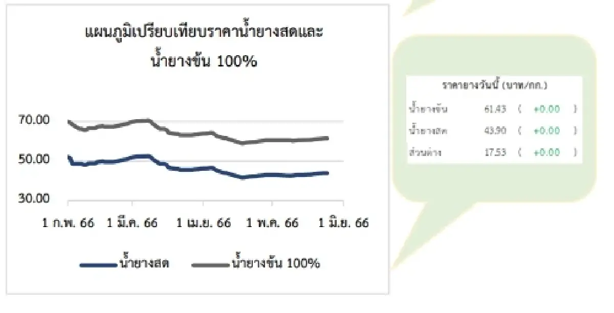 สถานการณ์ยางพารา วันที่ 25 พฤษภาคม 2566