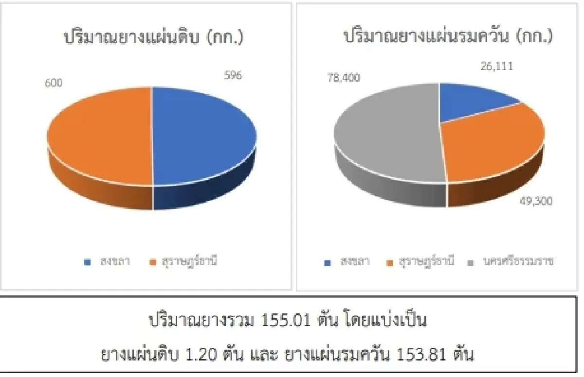 สถานการณ์ยางพารา วันที่ 25 พฤษภาคม 2566