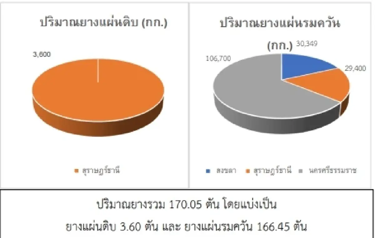 สถานการณ์ยางพารา วันที่ 10 พฤษภาคม 2566