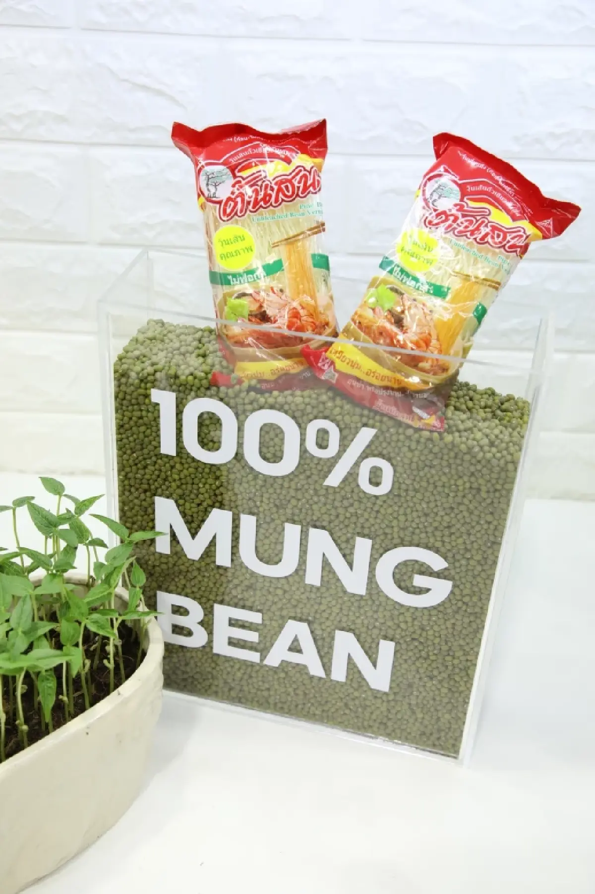 น้ำมันพืชกุ๊ก-วุ้นเส้นต้นสน ลุยฟิวเจอร์ฟู้ด ชูนวัตกรรม พร้อมทาน แพลนต์เบส