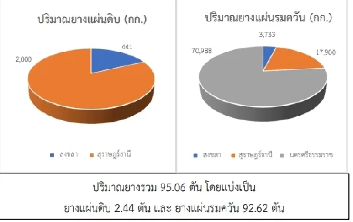 สถานการณ์ยางพารา วันที่ 11 พฤษภาคม 2566