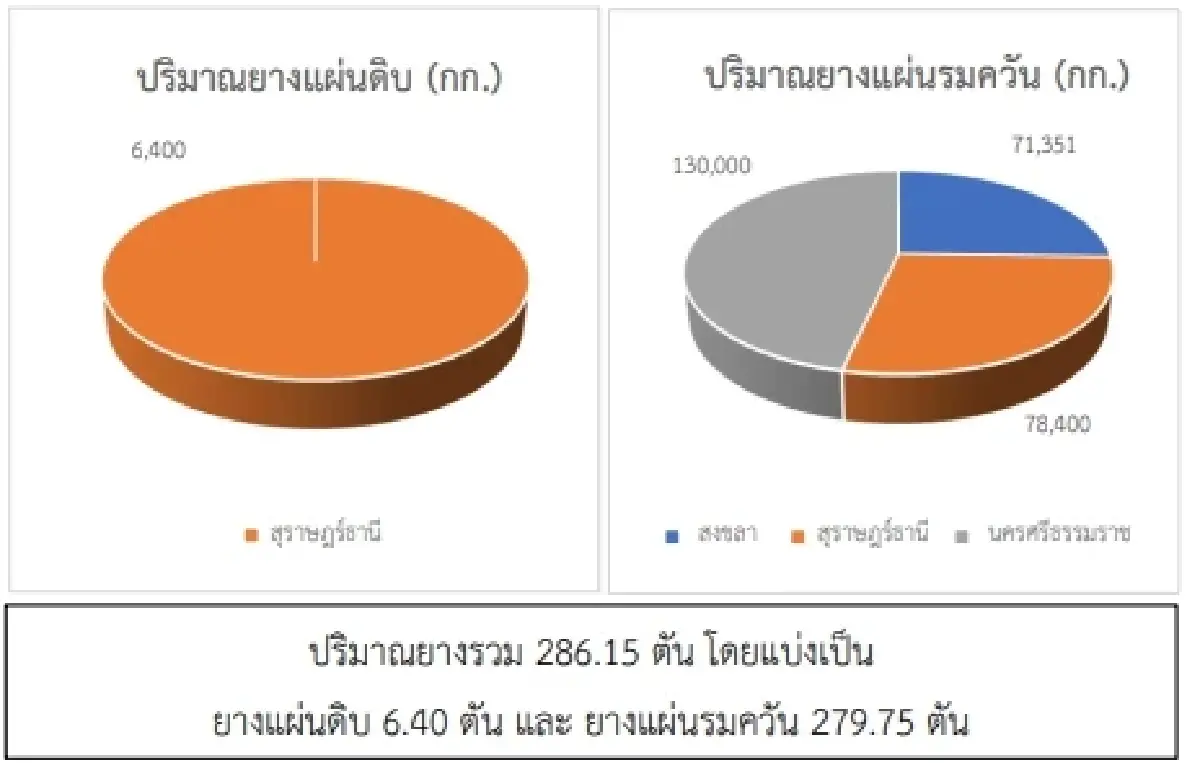 สถานการณ์ยางพารา วันที่ 30 พฤษภาคม 2566