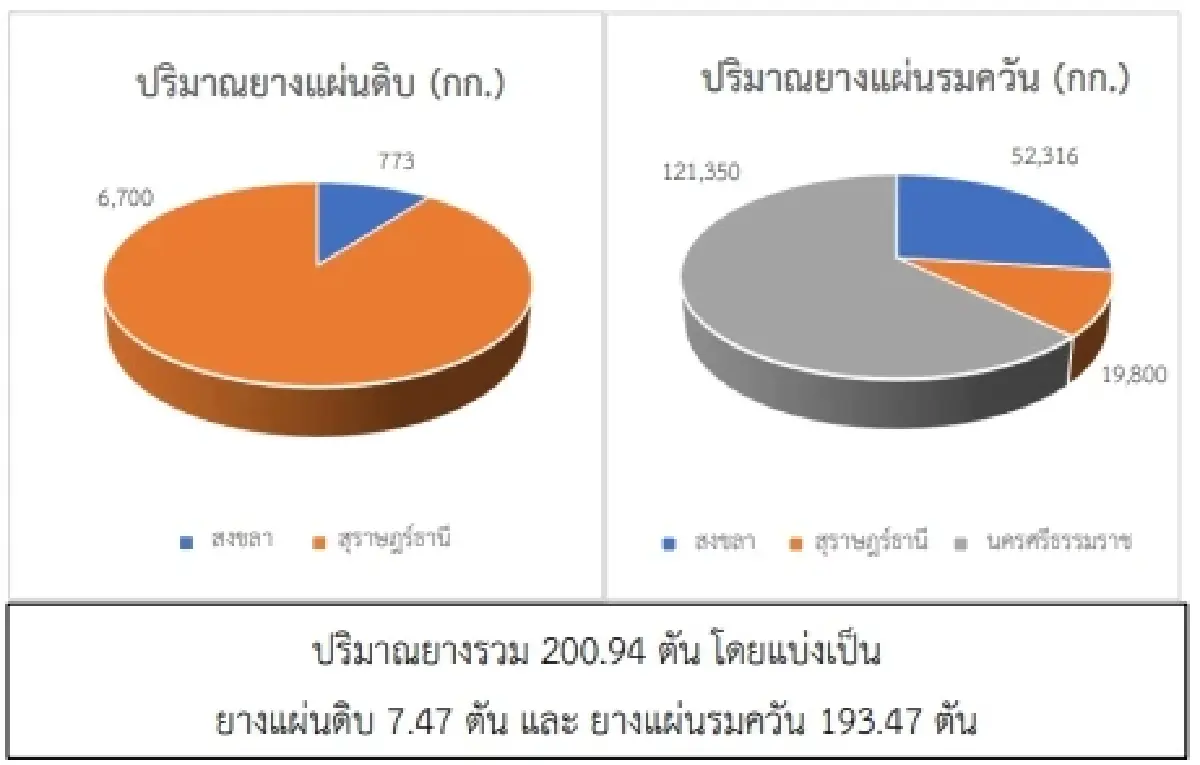 สถานการณ์ยางพารา วันที่ 12 พฤษภาคม 2566