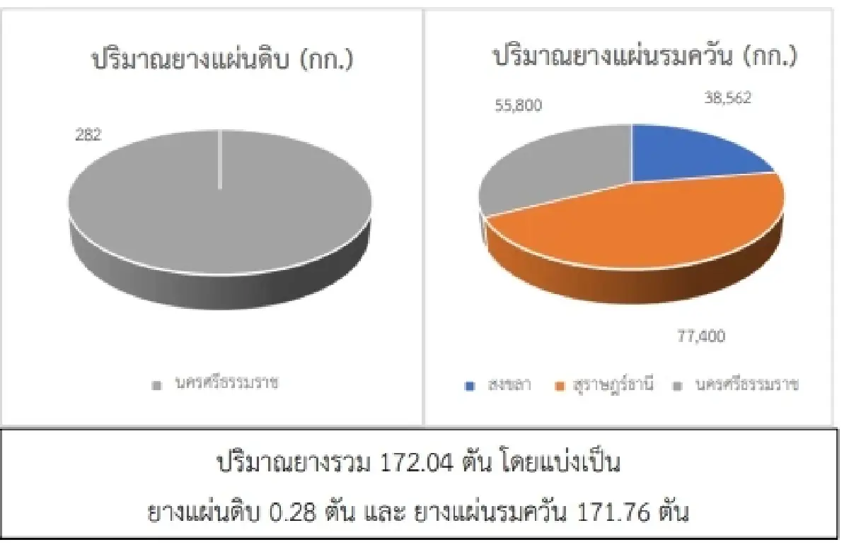 สถานการณ์ยางพารา วันที่ 23 พฤษภาคม 2566