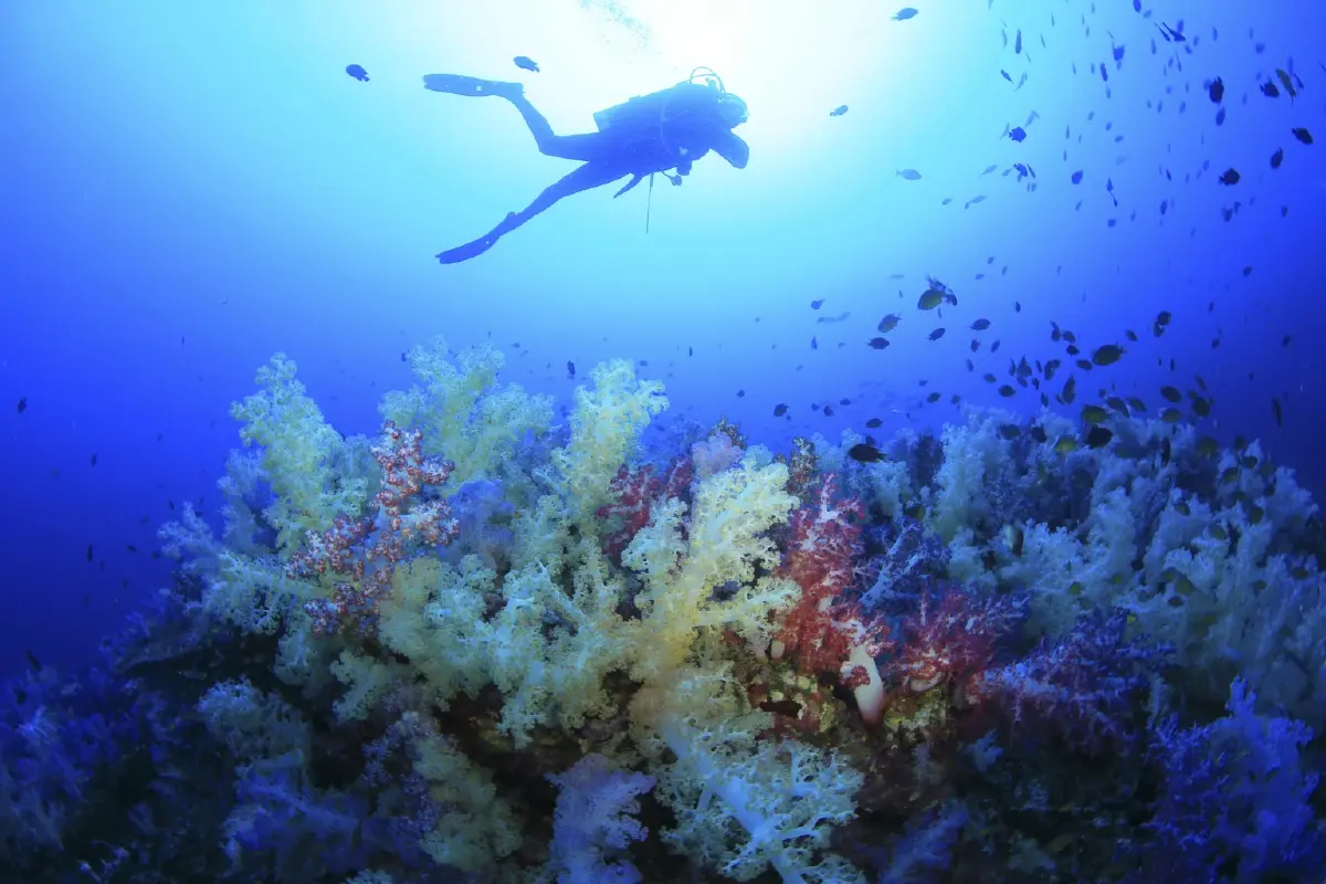 'พิพัฒน์' แนะปั้น 5 คลัสเตอร์ ปั๊มรายได้ท่องเที่ยวชายทะเลไทย 1.2 ล้านล้านบาท