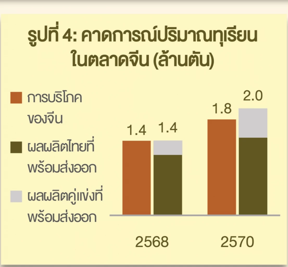 จับตาสถานการณ์ ‘ทุเรียนไทย’..เมื่อคู่แข่งรุก บุกตลาดจีน