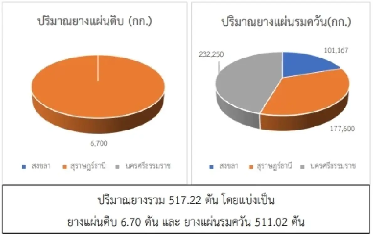 ราคายางแผ่นดิบ (สุราษฎร์ฯ) 47.63  ราคายางแผ่นรมควัน (สุราษฎร์ฯ) 49.39 ลบ -0.29 บาท