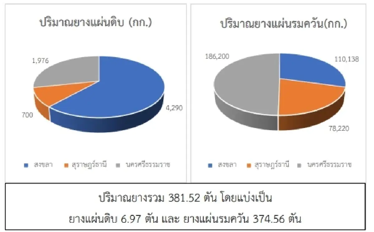 ยางแผ่นดิบ (สงขลา) 46.16 บวก 0.26 บาท ยางแผ่นรมควัน (สงขลา) 47.70 บวก 0.28 บาท
