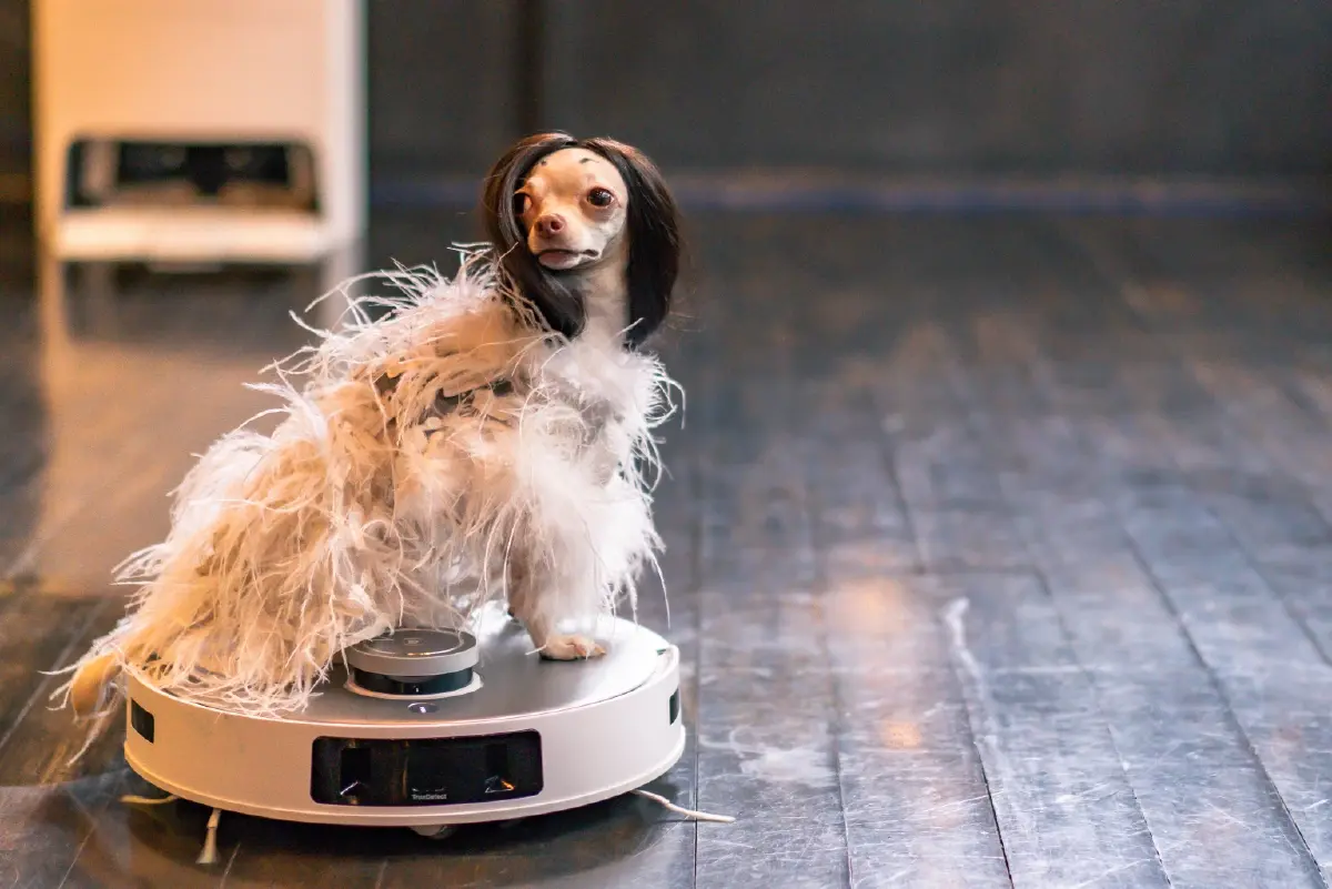 ECOVACS เปิดตัว DEEBOT T20 OMNI หุ่นยนต์ดูดฝุ่นรุ่นใหม่ล่าสุด