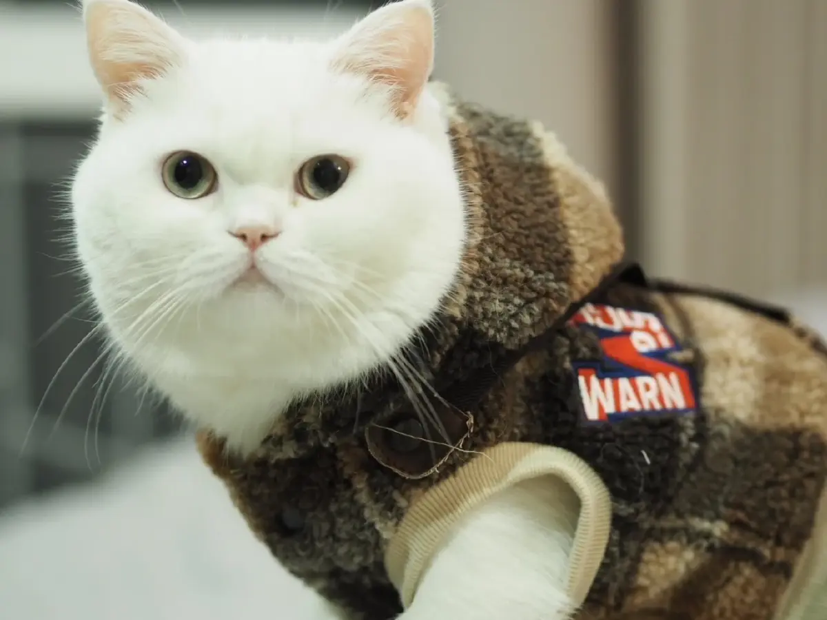 ชาว Pet Lover เตรียมพบกับความสนุกในงาน Pet’s Ville 2023