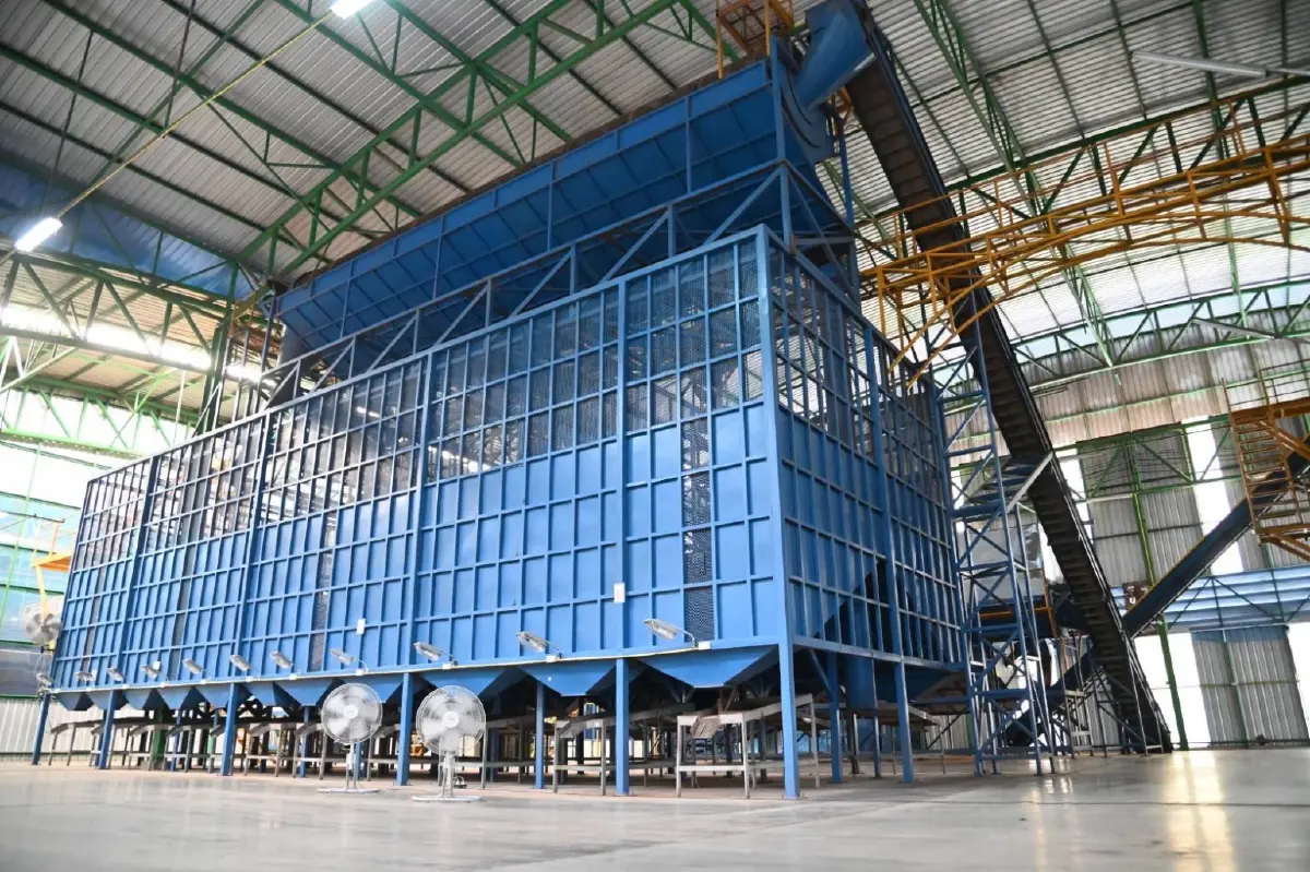 กรมการค้าภายในพร้อมรับมือผลผลิตลำไยภาคเหนือ ที่จะออกสู่ตลาดก.ค.-ก.ย.นี้