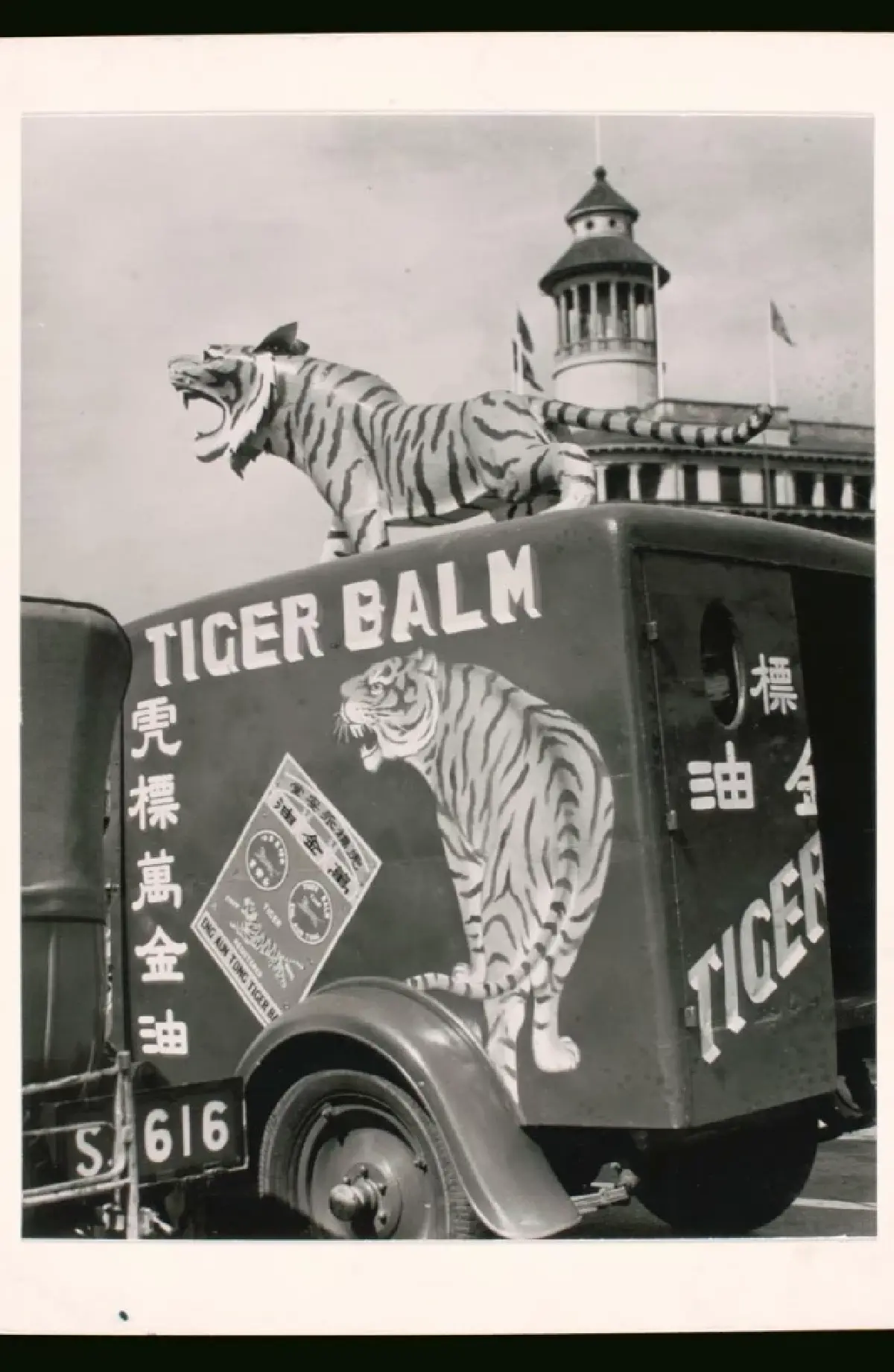 'ยาหม่องตราเสือ' ไม่ใช่ของประเทศไทย แต่ใครๆ ชอบเข้าใจผิด!