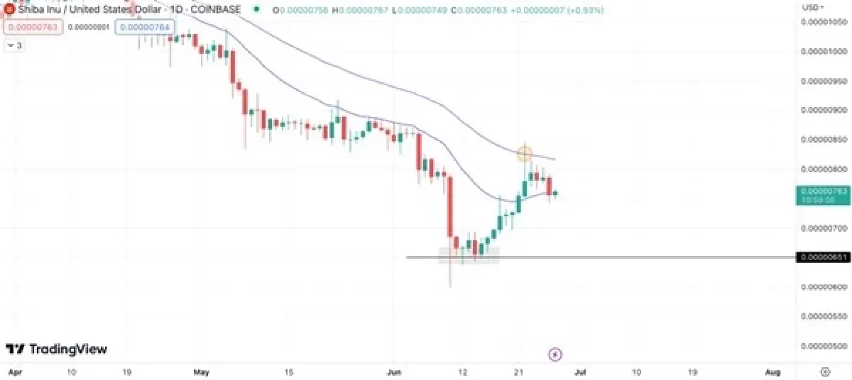 Wall Street Memes Presale ระดมทุนได้ $11 ในขณะที่ราคา Shiba Inu ยังคงไม่แน่นอน