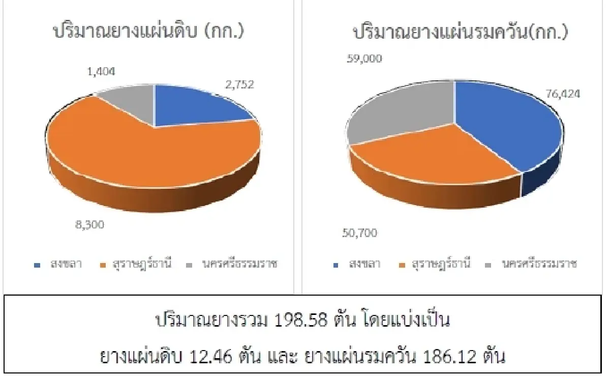 ยางแผ่นดิบ (นครศรีฯ) 44.59 ลบ -0.51 บาท ยางแผ่นรมควัน (นครศรีฯ) 46.50