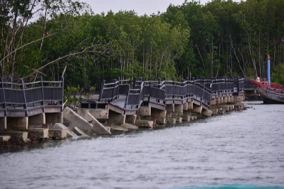 ทส.ตรวจสอบสะพานชมธรรมชาติ ริมคลองอีแอด จ.เพชรบุรี หลังสร้างเสร็จมีบางส่วนชำรุด