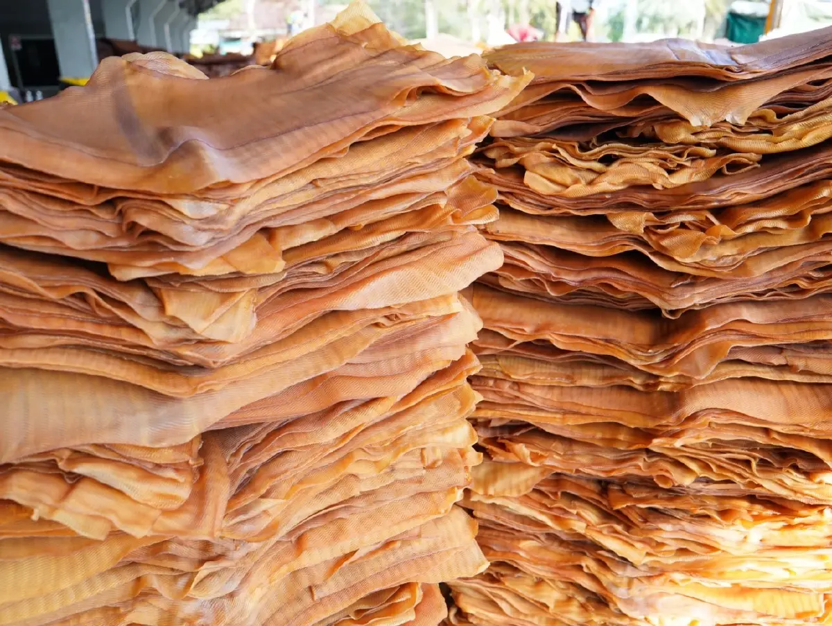 ญี่ปุ่น ยกทัพ ดูแหล่งผลิตยางไทย มุ่งเป้า SDGs พัฒนาอุตสาหกรรมยั่งยืน