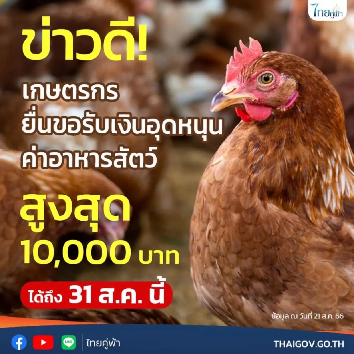 เปิดให้เกษตรกร ยื่นขอรับการสนับสนุนค่าอาหารสัตว์ ถึง 31 ส.ค.นี้