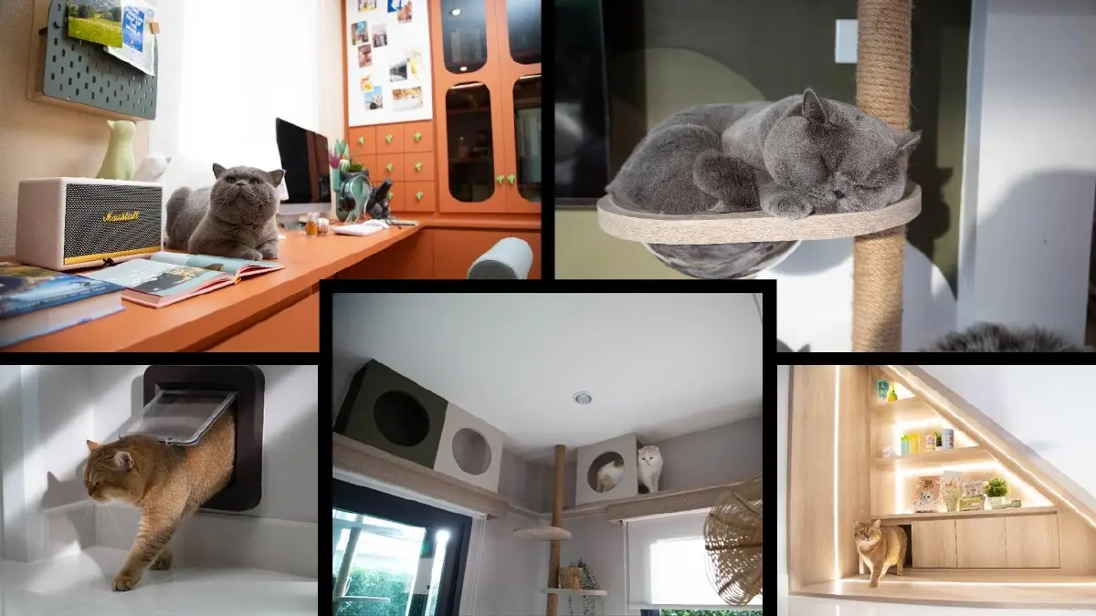 ได้เวลาเปลี่ยนลุค!ศุภาลัย ปรับดีไซน์ ฟังก์ชัน สื่อสารดึงดูดGen Z