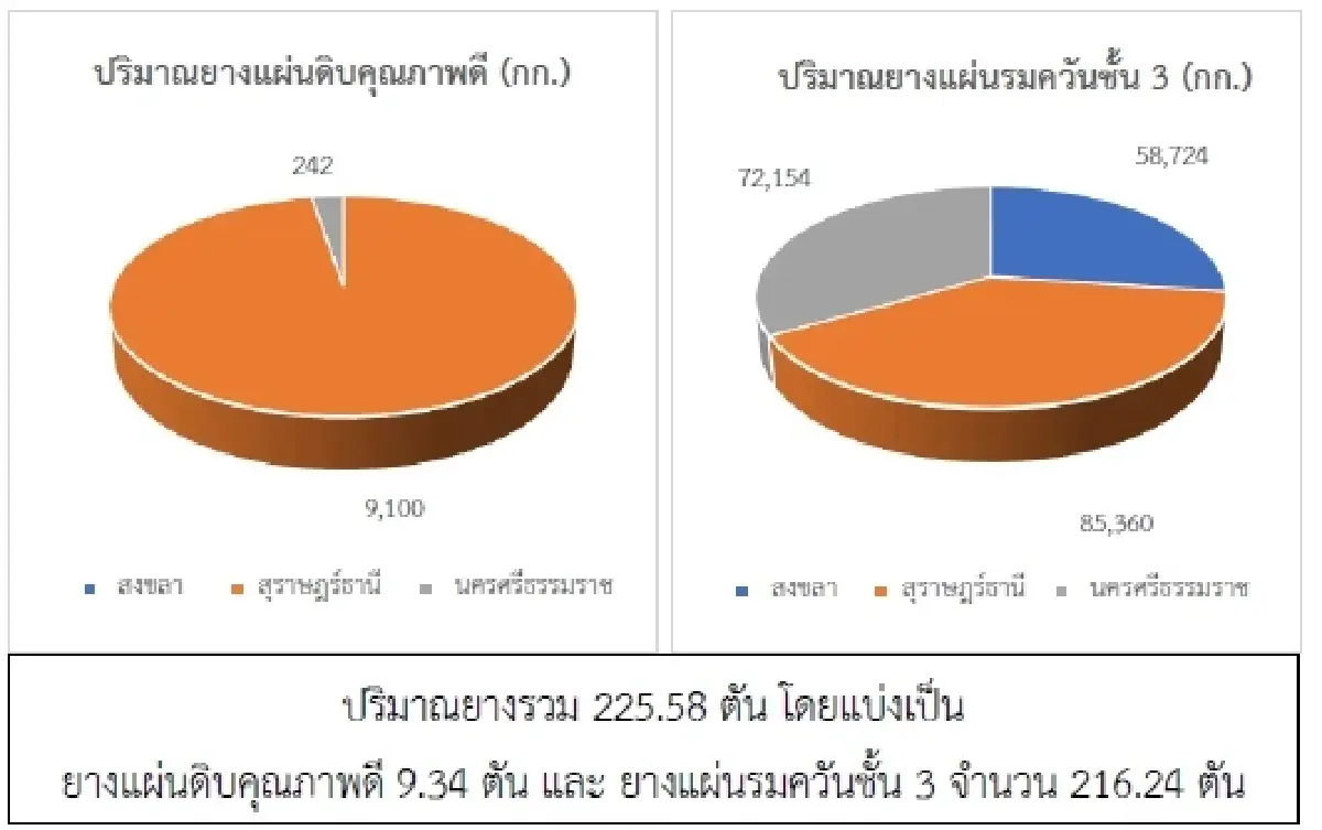 ยางแผ่นดิบ (สุราษฎร์ฯ) 48.46 บวก 0.20 บาท ยางแผ่นรมควัน (สุราษฎร์ฯ) 50.82 บวก 1.67 บาท