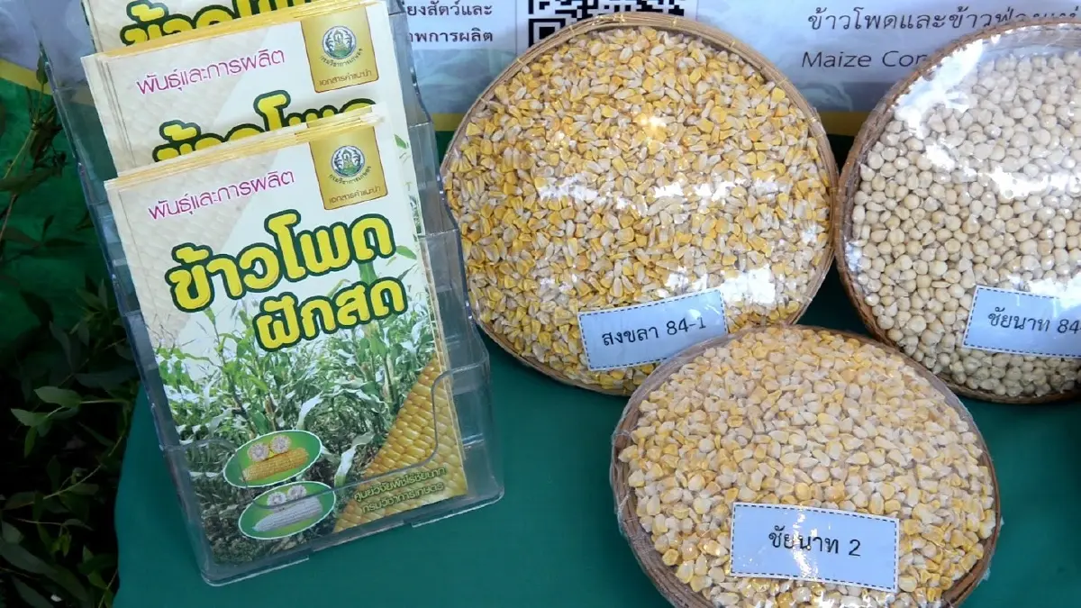 “กรมวิชาการเกษตร” โหมโรงเตรียมจัดแถลงผลงานวิจัยยิ่งใหญ่