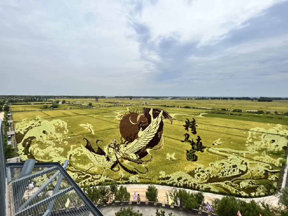 โมเดล ‘ศิลปะทุ่งนา’ หนุนรายได้เกษตรกรเพิ่ม 2 เท่า