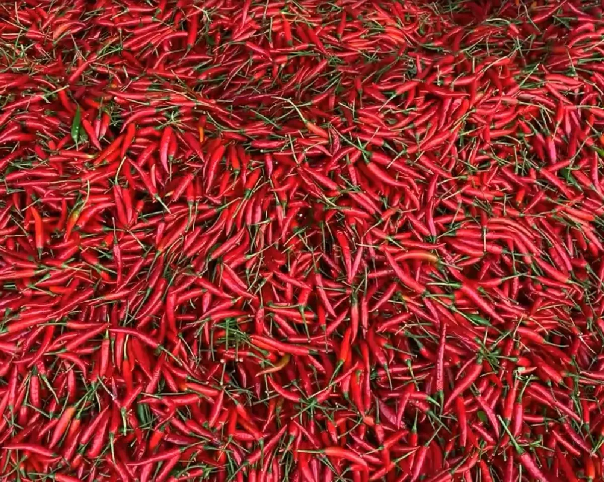 พิษน้ำท่วม ส่งผลให้ผักแพง เพราะขาดตลาด