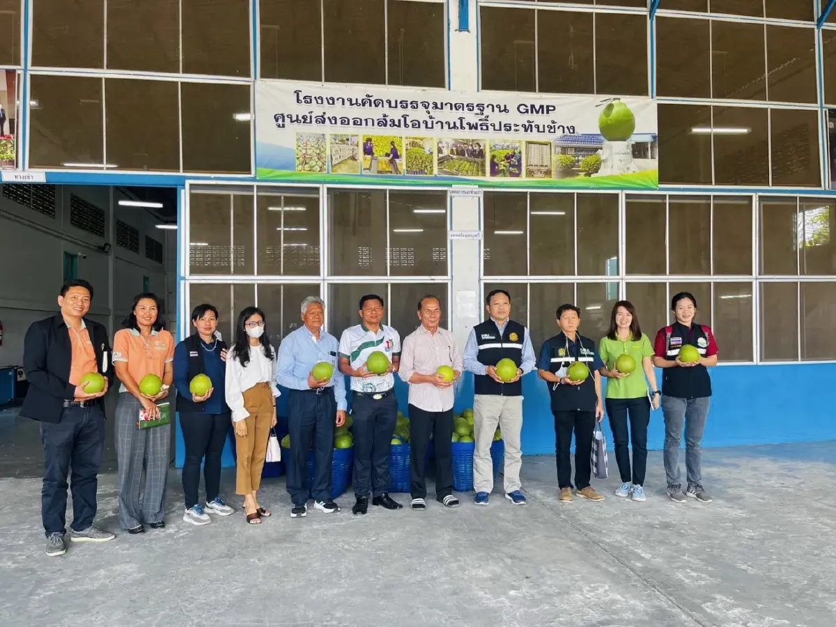 กรมวิชาการเกษตร หนุนเทคโนโลยี ผลิต“ส้มโอ” มาตรฐาน GAP