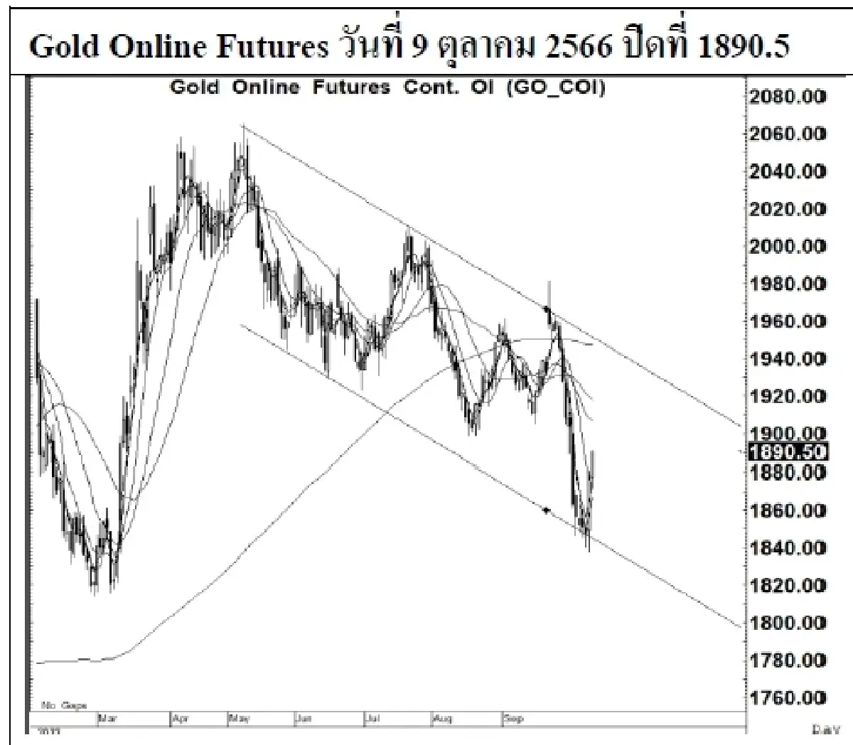 DAILY GOLD Futures : บล.เคจีไอฯ Spot Gold (Dollar/Troy Ounce) +13.35  1863.44