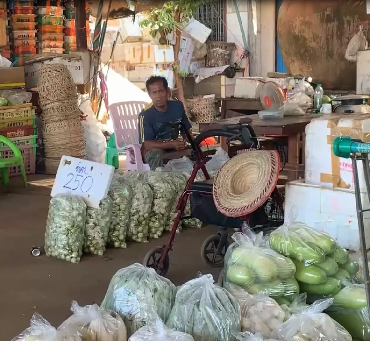 พิษน้ำท่วม ส่งผลให้ผักแพง เพราะขาดตลาด