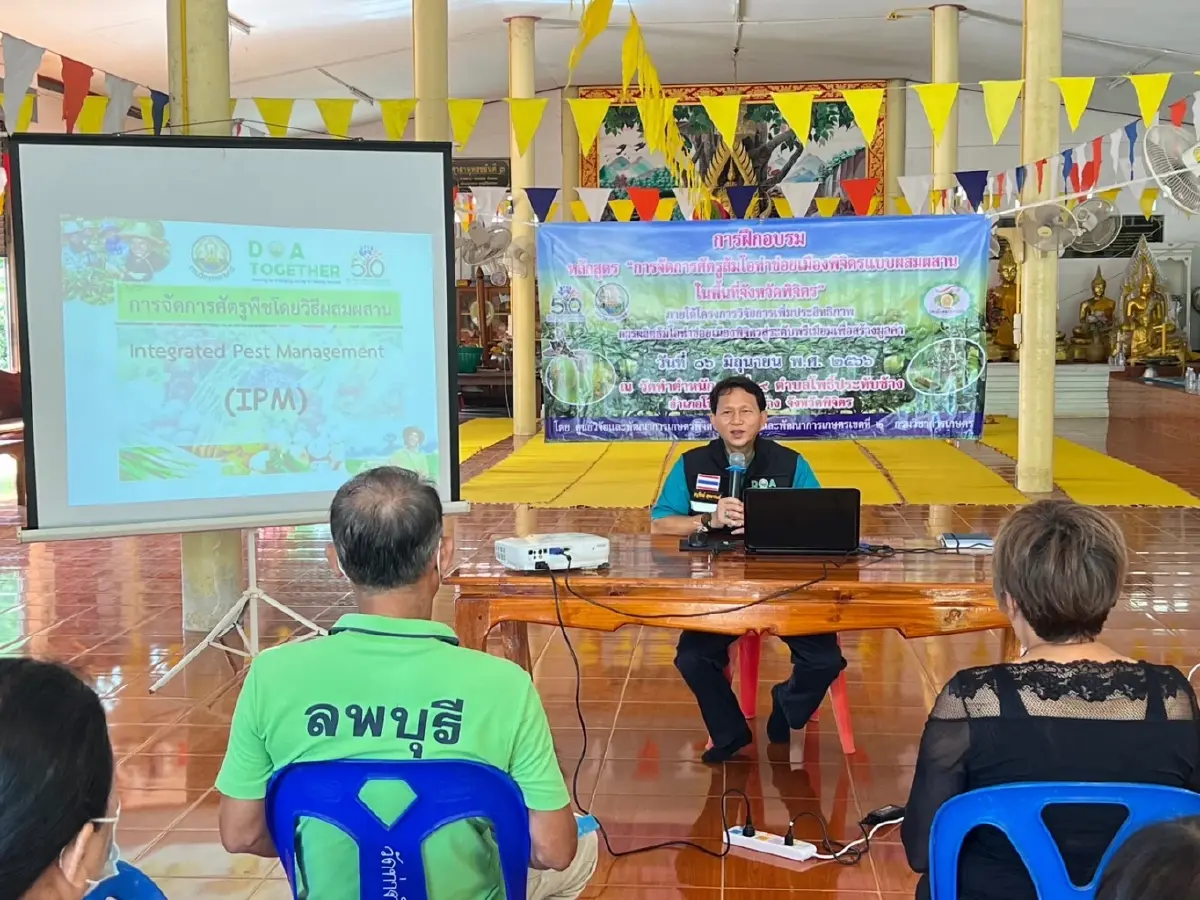 กรมวิชาการเกษตร หนุนเทคโนโลยี ผลิต“ส้มโอ” มาตรฐาน GAP