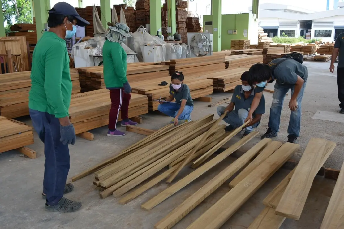 เปิดแผนงาน อ.อ.ป. ปี 2567 มุ่งเป้าส่งออกไม้เพิ่ม หลังรัฐปลดล็อคภาษีขาออก