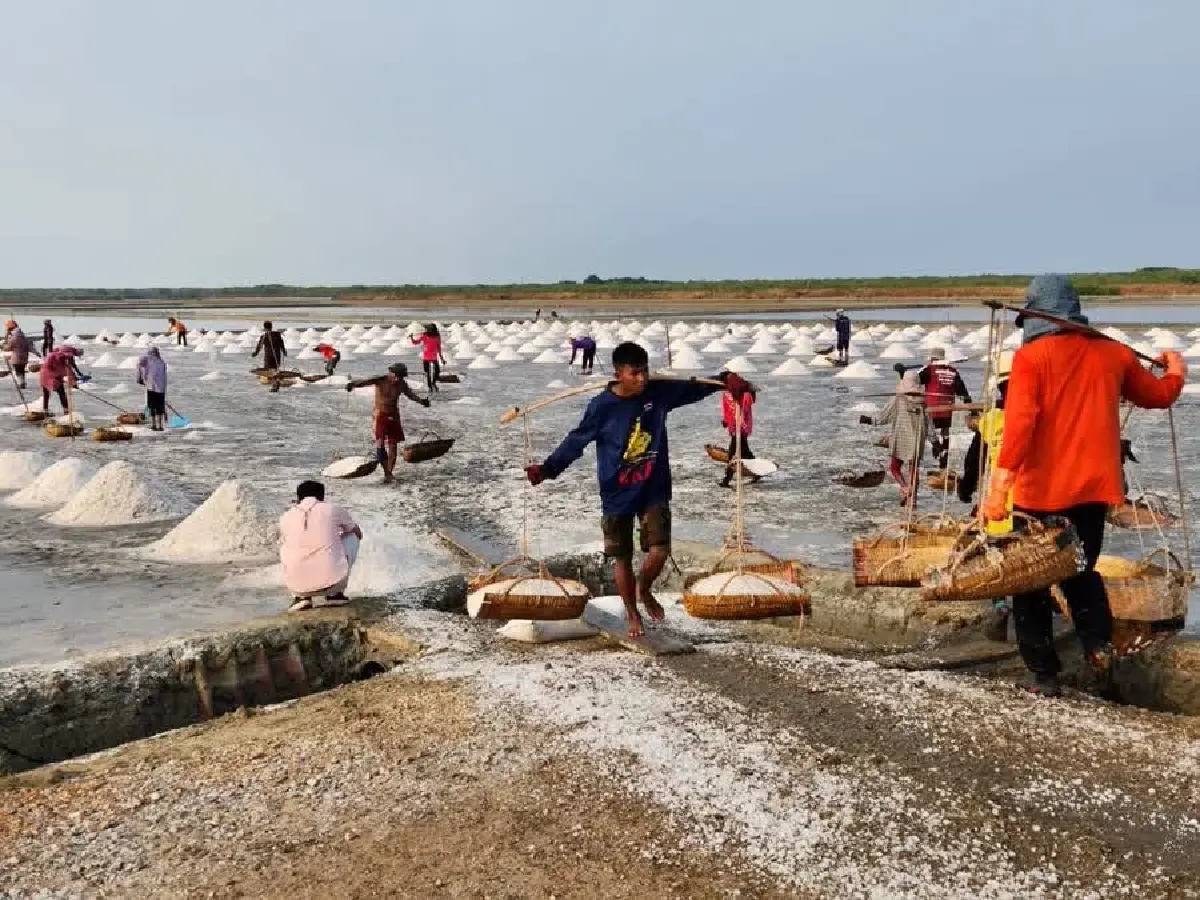 ‘ธรรมนัส’ สั่งรับมือราคาเกลือตกต่ำ เล็งผุดยุ้งฉางชะลอจำหน่าย