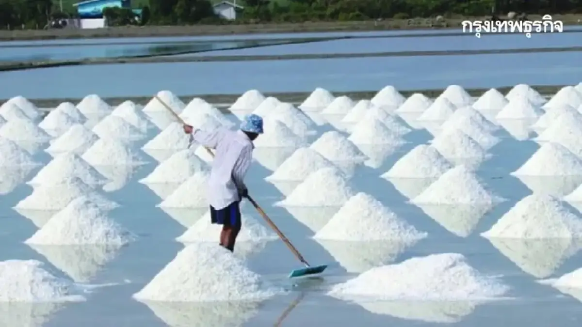 ‘ธรรมนัส’ สั่งรับมือราคาเกลือตกต่ำ เล็งผุดยุ้งฉางชะลอจำหน่าย
