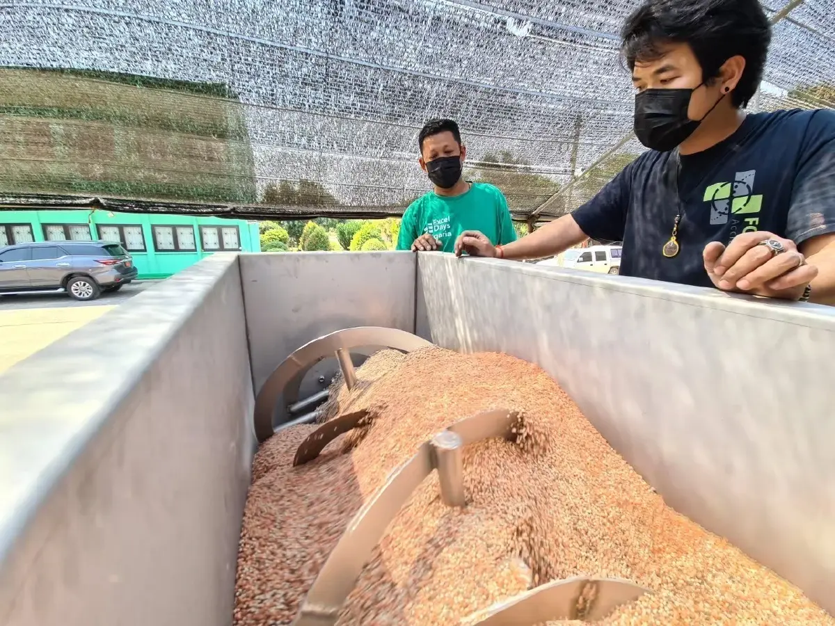 เกษตร-พาณิย์ ขยายเวลาลดราคาปุ๋ย ถึง มี.ค. 67