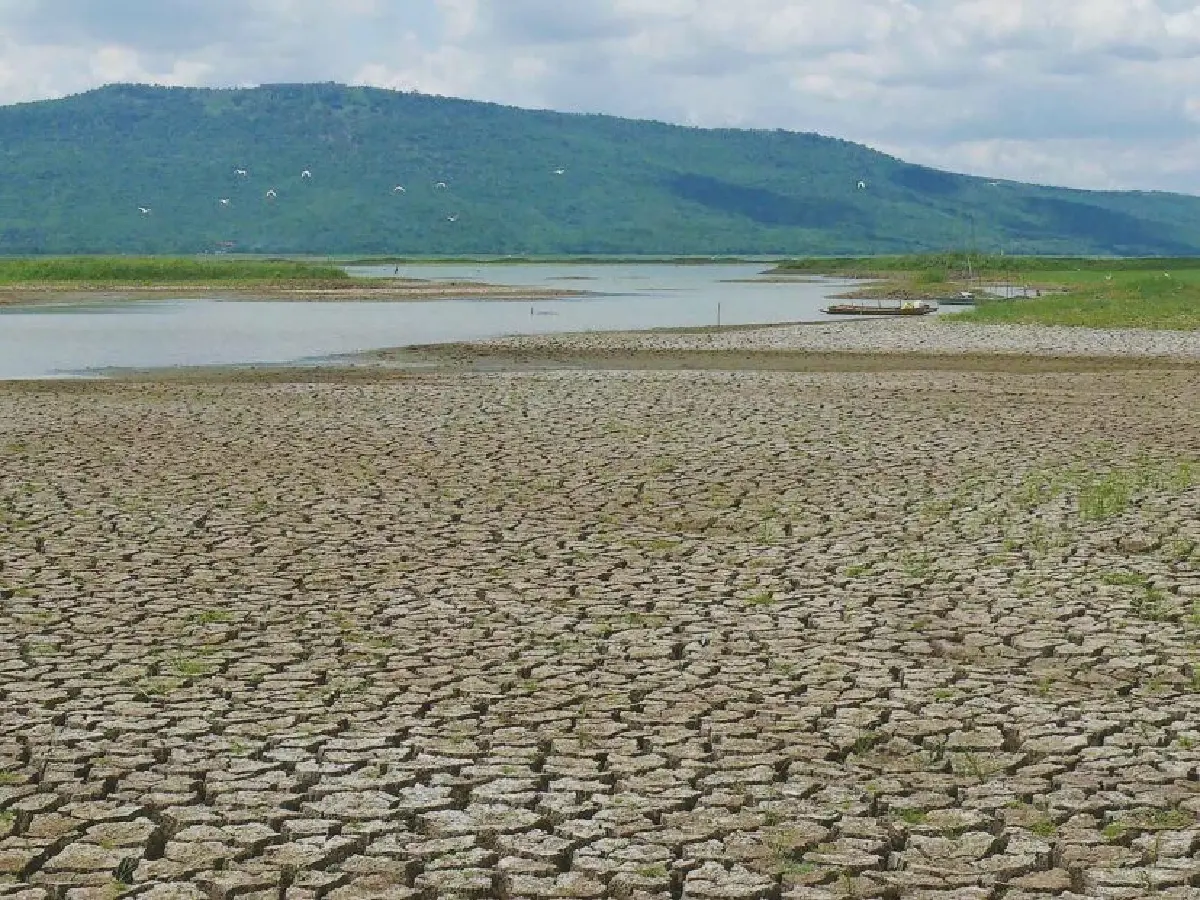 โลกร้อนไม่หยุด “เอลนีโญ”แรง   กระทบน้ำในอ่างเก็บลดลง 20 %