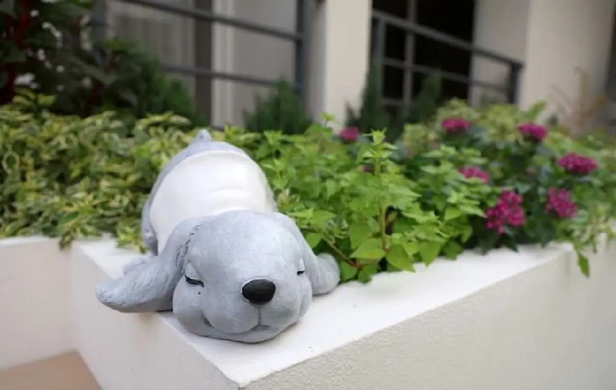 ‘นิตาเนอร์สซิ่งโฮม’  ศูนย์ดูแลที่เหมือนมีหมออยู่ในบ้าน