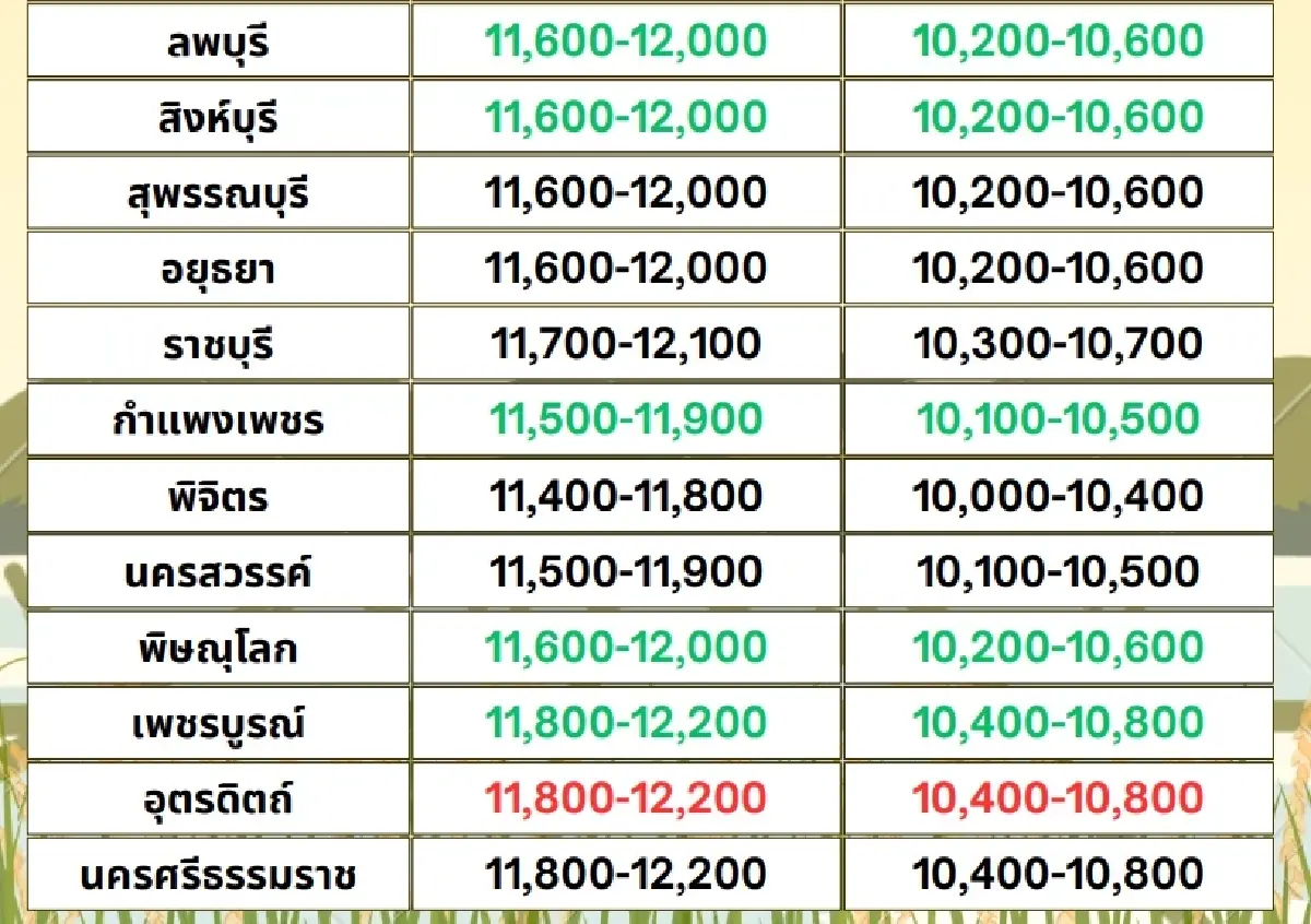 รายงานราคาข้าวขายส่งตลาดกรุงเทพฯ (สมาคมโรงสีข้าวไทย) วันที่ 8 พฤษภาคม 2567