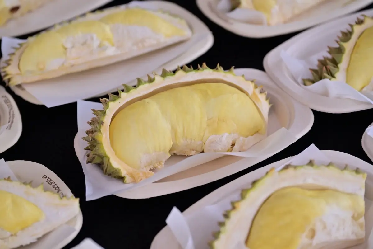 ส่องบุฟเฟต์ทุเรียนห้างค้าปลีก-ศูนย์การค้า จัดเต็ม ราคาตั้งแต่ 599-999 บาท