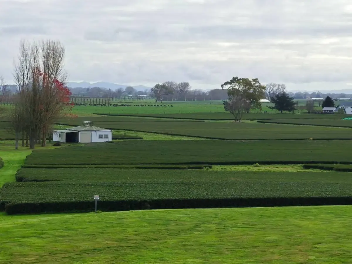 ไทย - นิวซีแลนด์ ร่วมเทคโนโลยีทางการเกษตรรับมือโจทย์โลกเปลี่ยน