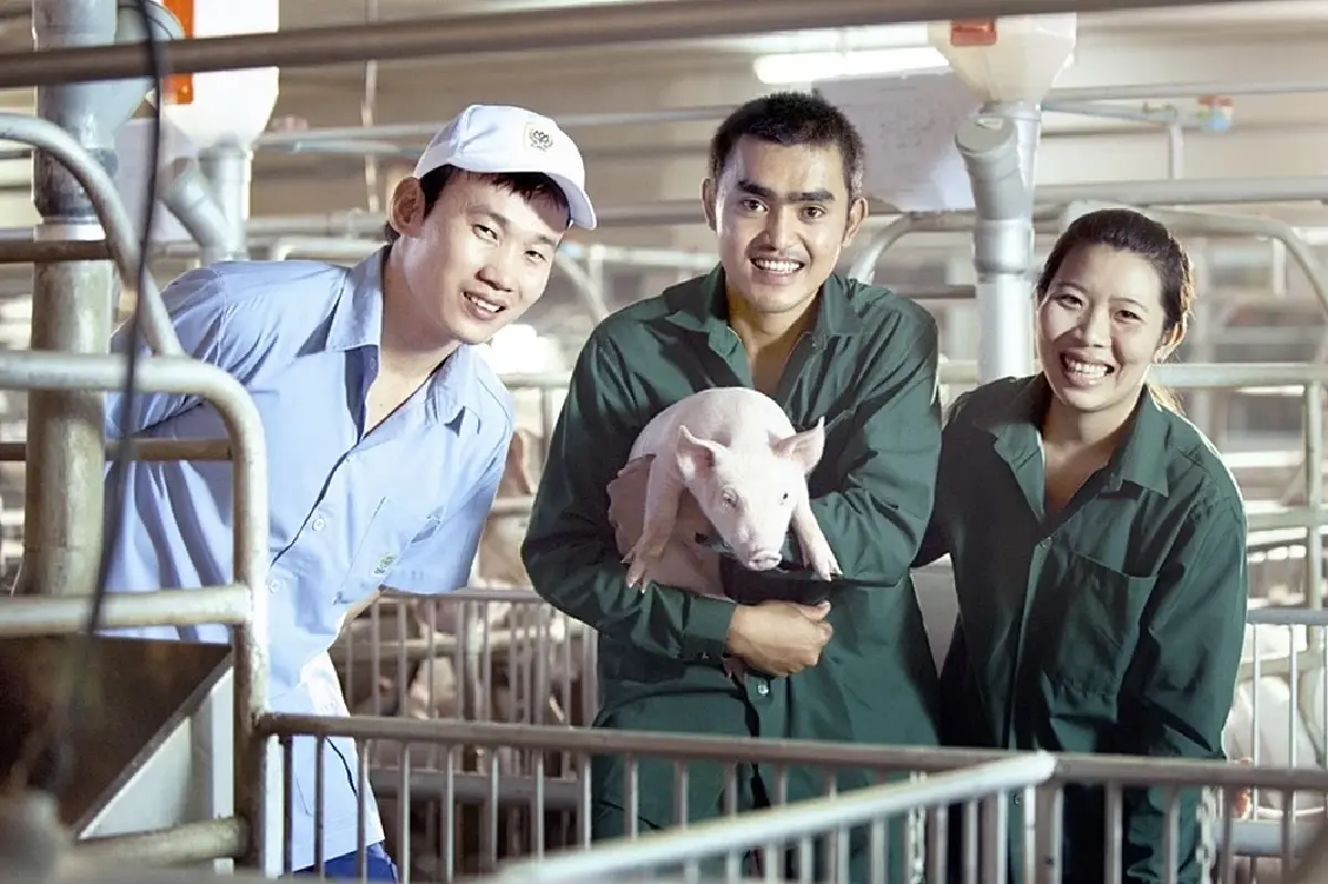 ยกระดับแรงงานฟาร์มสุกรซีพีเอฟสู่มาตรฐานGLPเป้า100%ใน1ปี